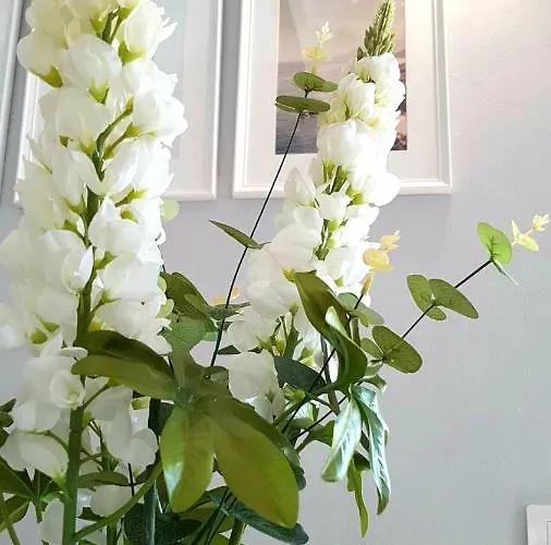 Апартаменты Atico En El Corazon De Cruz/ Cozy Penthouse